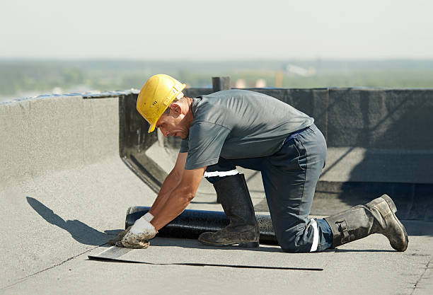 Best Insulation Installation Services in Hunter, TN