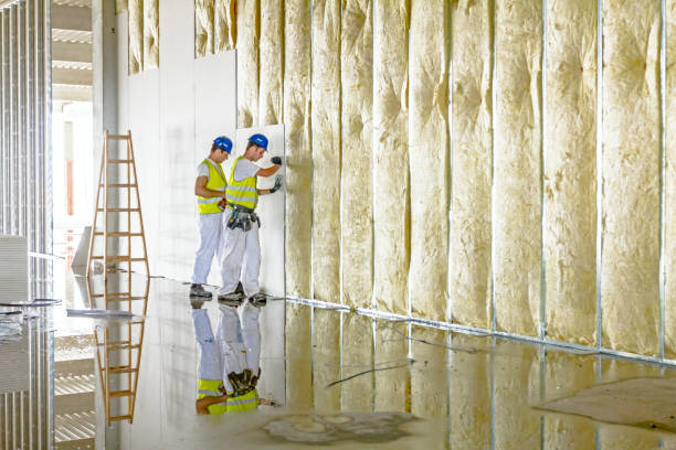 Best Insulation Installation Services in Hunter, TN